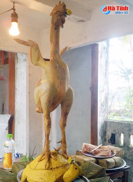 dac sac hoi thi lam co cung dau xuan