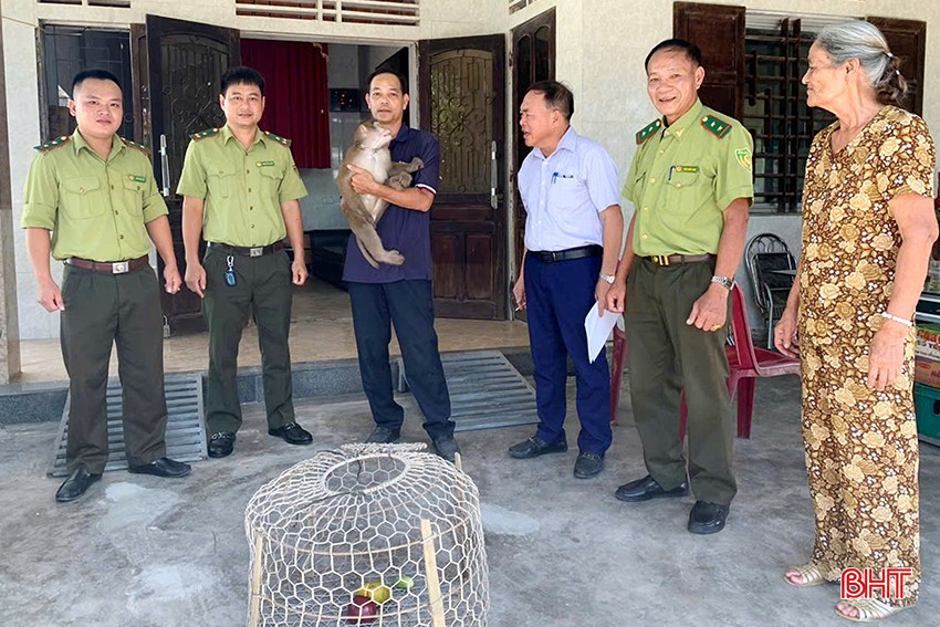 ngan giang.jpg