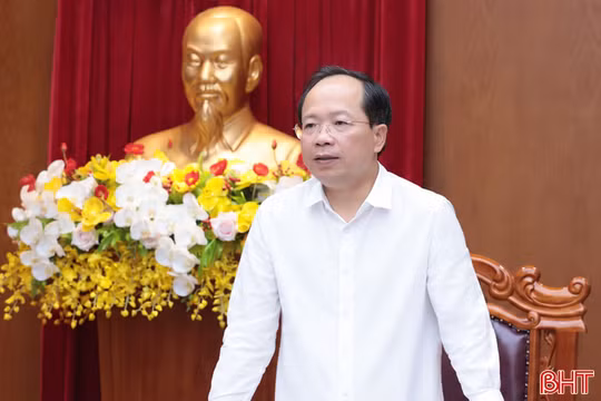 Thường trực Tỉnh ủy Hà Tĩnh cho ý kiến về một số nội dung thuộc thẩm quyền