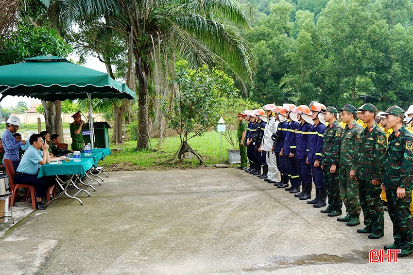 10-5739.jpg