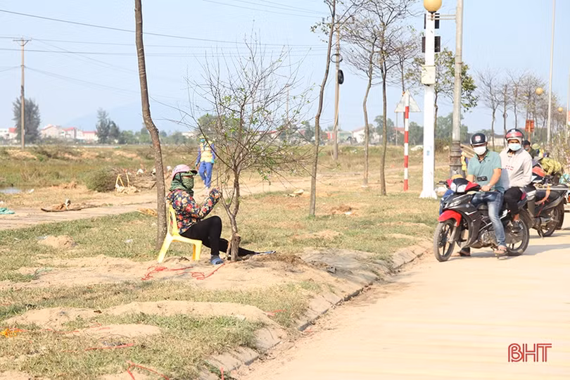 Cây cảnh chiều 30 tết tại Hà Tĩnh: Đào “sạch trơn”, quất bán chạy, mai ế ẩm