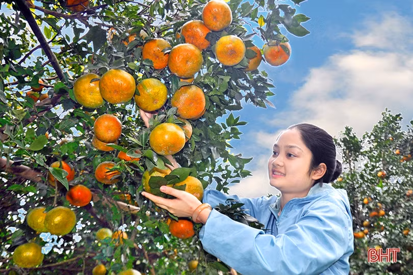 Sắc xuân trên những miền quê nông thôn mới HàTĩnh