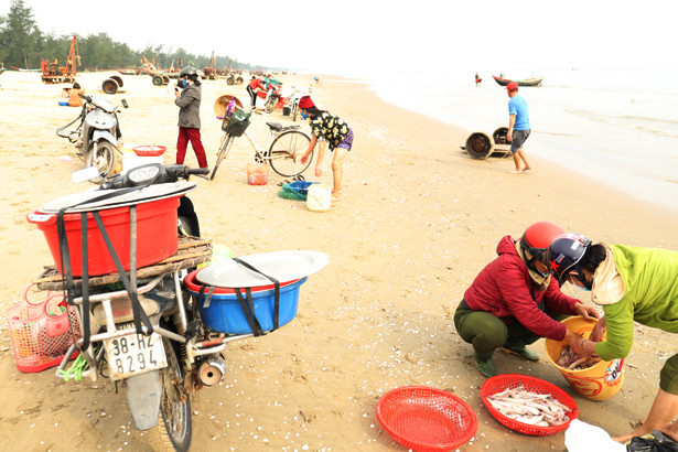 Ngư dân Nghi Xuân trúng đậm “lộc biển” trong những ngày đầu năm