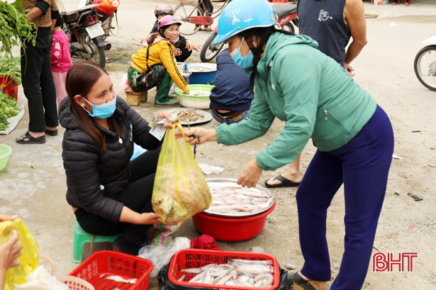 Ngư dân Nghi Xuân trúng đậm “lộc biển” trong những ngày đầu năm