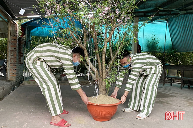 Phạm nhân gói bánh chưng, trang hoàng trại giam để đón tết