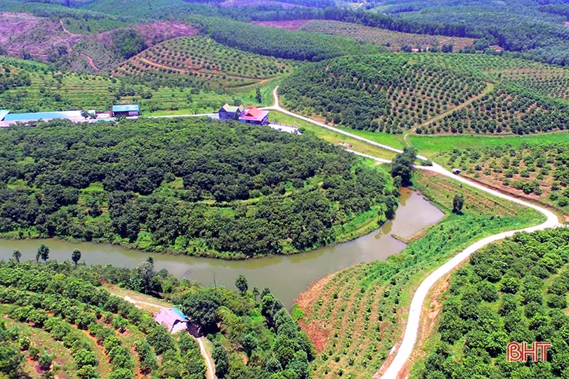 “Đi đầu, bước trước” - người Hà Tĩnh một lòng theo Đảng