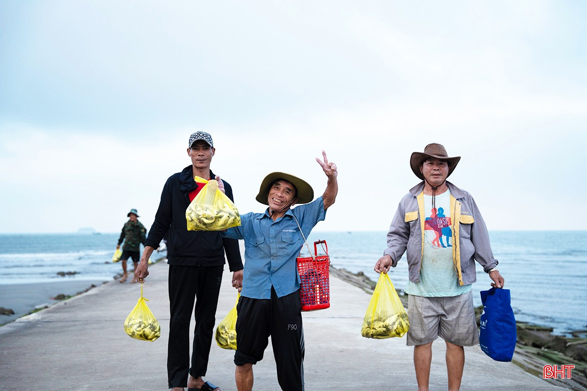 Khi tàu thuyền trở về, ngư dân mang theo những mẻ cá tươi rói vào bờ, tạo nên khung cảnh nhộn nhịp, đậm chất lao động của làng chài ven biển.