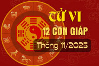 Tử vi 12 con giáp tháng 11/2025 dương lịch