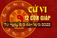 Tử vi tuần mới từ ngày 8/9 đến 14/9/2025 của 12 con giáp.