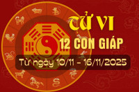 Tử vi tuần mới từ ngày 10/11 đến 16/11/2025 của 12 con giáp.
