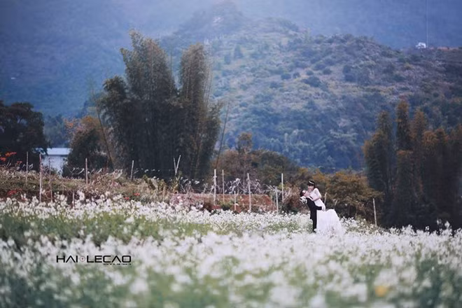 nhung diem chup anh cuoi dep nhu mo o viet nam