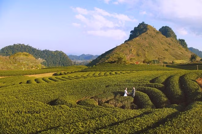 nhung diem chup anh cuoi dep nhu mo o viet nam
