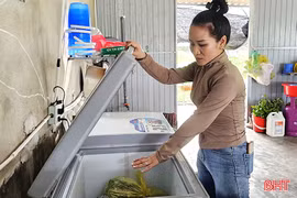 Hơn 30 hộ dân thôn Nam Thượng khẩn mong ổn định nguồn điện mùa nắng nóng 