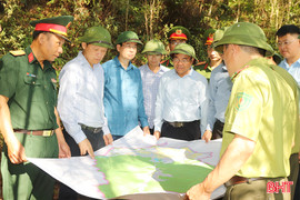 Tập trung cao công tác phòng cháy chữa cháy rừng, phòng chống thiên tai 