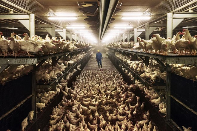 Trưng bày 130 tác phẩm xuất sắc cuộc thi ảnh báo chí thế giới ở Hà Nội