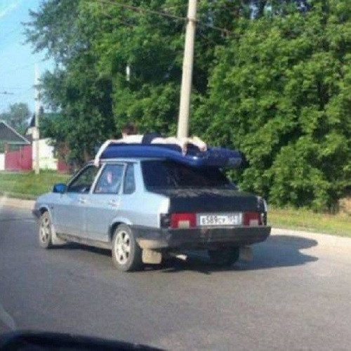 10 ảnh hài khiến người xem bật cười