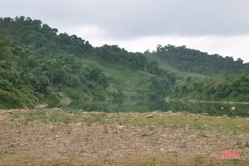 Một dòng Ngàn Sâu...