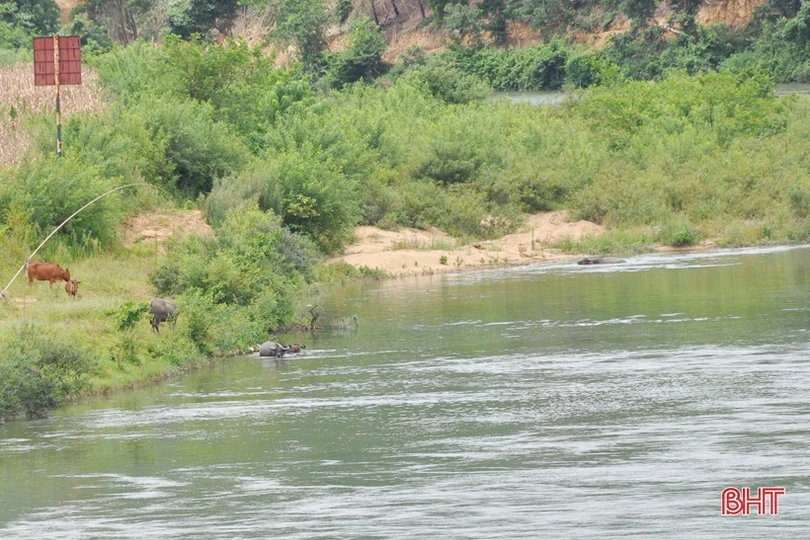 Một dòng Ngàn Sâu...