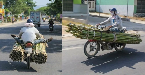 10 ảnh hài khiến người xem bật cười