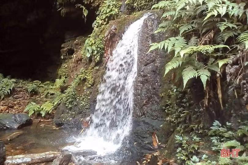 Một dòng Ngàn Sâu...