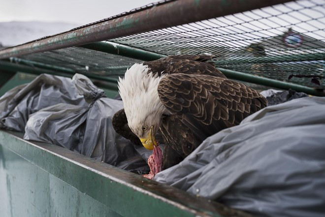 Trưng bày 130 tác phẩm xuất sắc cuộc thi ảnh báo chí thế giới ở Hà Nội