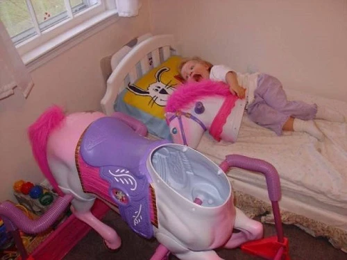 10 ảnh hài khiến người xem bật cười