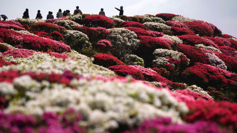 CNN công bố những bức ảnh du lịch đẹp nhất nửa đầu năm 2018