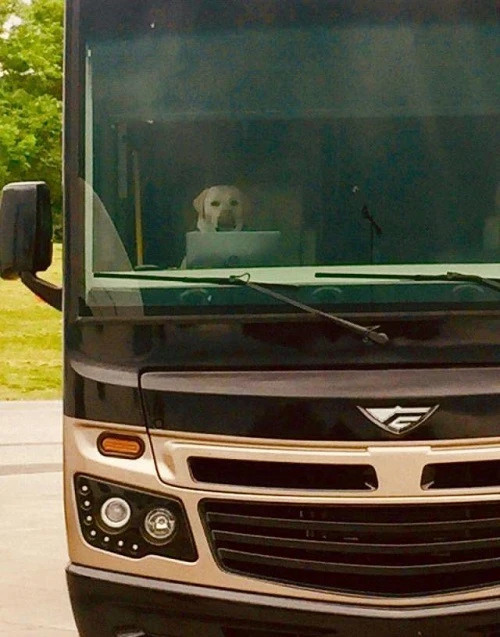 10 ảnh hài khiến người xem bật cười