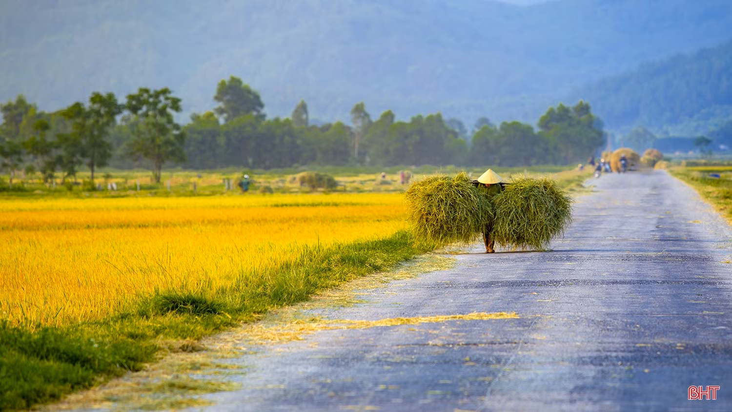 Mùa vui trên ruộng đồng Hà Tĩnh