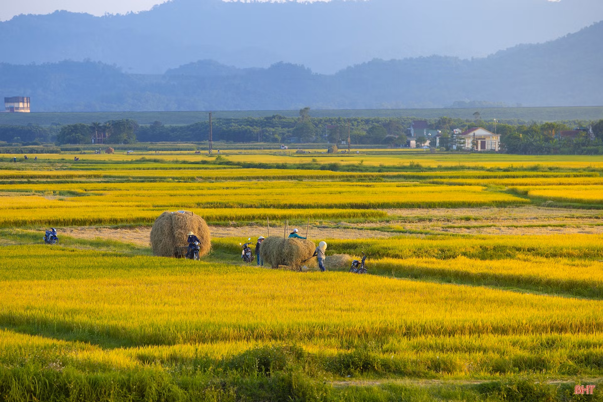 Mùa vui trên ruộng đồng Hà Tĩnh