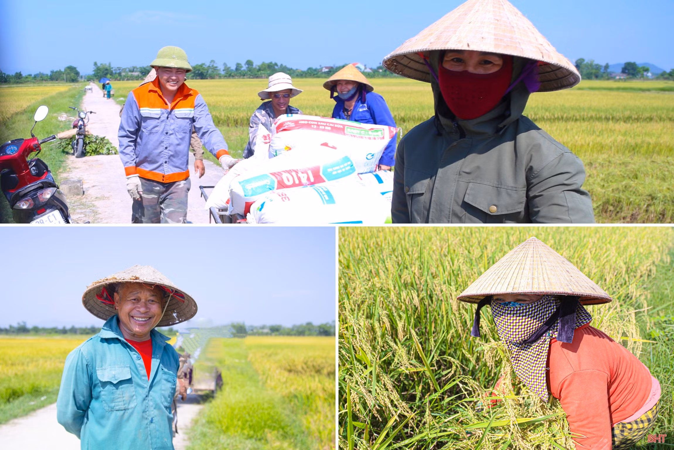 Mùa vui trên ruộng đồng Hà Tĩnh