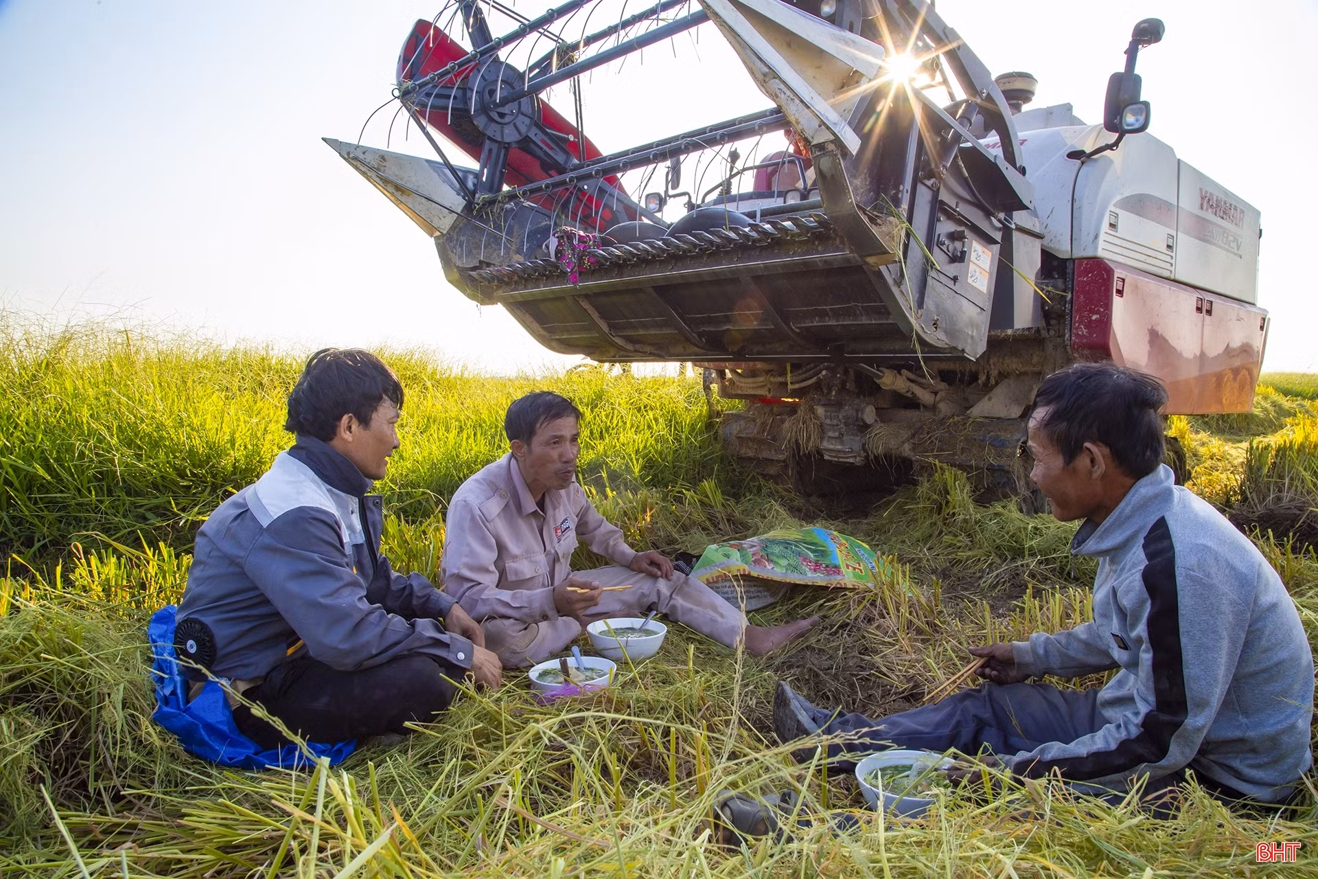 Mùa vui trên ruộng đồng Hà Tĩnh