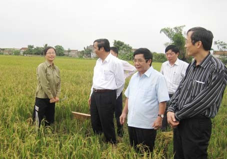 ... động viên bà con nông dân phương Trung Lương (TX Hồng Lĩnh) thu hoạch lúa hè thu...
