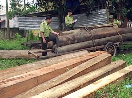 Số lâm sản vận chuyển trái phép bị lực lượng Kiểm lâm Vũ Quang bắt giữ