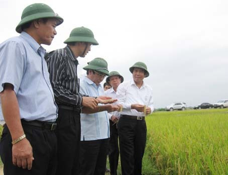 Bí thư Tỉnh ủy và đoàn kiểm tra mô hình sản xuất lúa chất lượng cao ở xã Yên Hồ (Đức Thọ)...