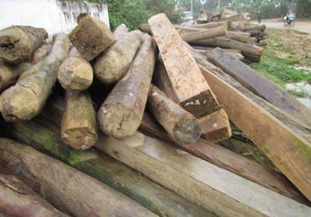 Sau gần 6 tháng tích cực điều tra, Cơ quan CSĐT Công an tỉnh Hà Tĩnh đã làm rõ vai trò, trách nhiệm của 12 đối tượng liên quan đến vụ phá rừng tàn khốc này