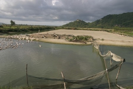 Gia đình ông Tỵ không thiết tha gì nữa đối với trang trại tại khu vực Đồng Truồng