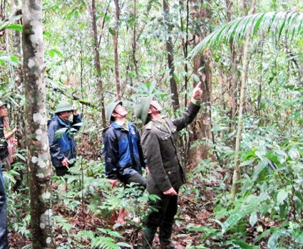Lực lượng BQL Khu Bảo tồn thiên nhiên Kẻ Gỗ phối hợp với cán bộ Hạt kiểm lâm Kỳ Anh đi kiểm tra rừng thuộc xã Kỳ Thượng (Kỳ Anh)