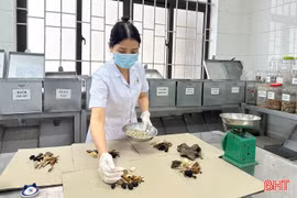 Vì sao thuốc y học cổ truyền "lép vế" trong quỹ chi BHYT?