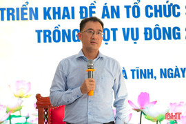Vụ đông năm 2025, Hà Tĩnh phấn đấu gieo trồng 12.149ha 