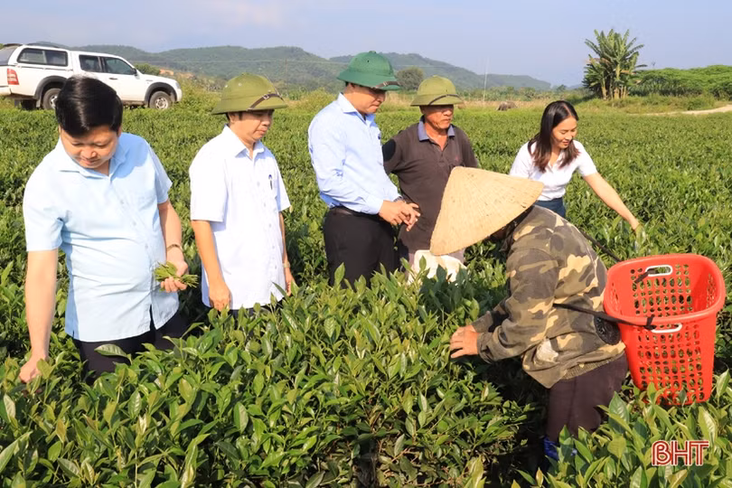 Tập trung hoàn thiện các tiêu chí, sớm đưa Sơn Lĩnh đạt chuẩn NTM nâng cao