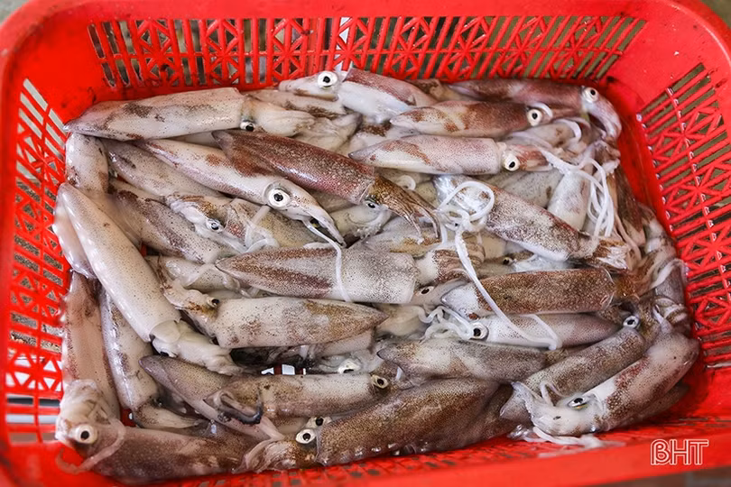 Chủ nhà hàng tại các khu du lịch biển Hà Tĩnh phấn khởi vì “thắng đậm”