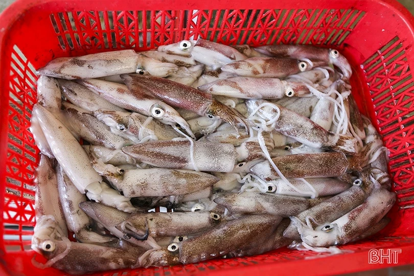 Chủ nhà hàng tại các khu du lịch biển Hà Tĩnh phấn khởi vì “thắng đậm”