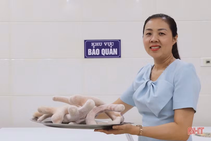 Tìm luận chứng khoa học để xây dựng quy trình kỹ thuật chăn nuôi hươu sao ở Hà Tĩnh