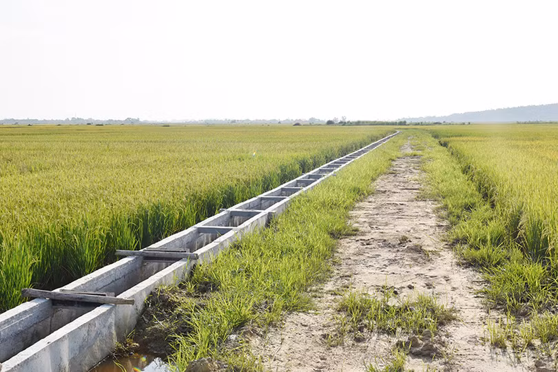 Hồng Lộc hướng đến mục tiêu mỗi hộ chỉ sản xuất trên một thửa ruộng diện tích lớn