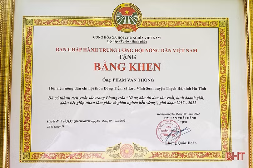Hành trình từ người trồng dưa đến nông dân giỏi được vinh danh toàn quốc