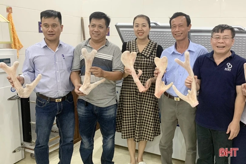 Nông dân Hương Sơn học và làm theo Bác để phát triển kinh tế