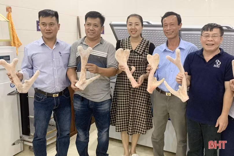 Nông dân Hương Sơn học và làm theo Bác để phát triển kinh tế