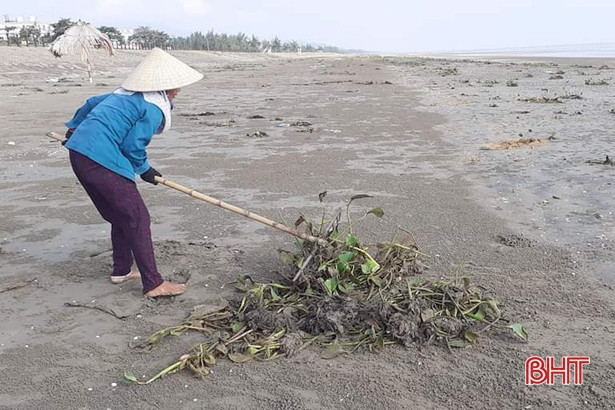 Lộc Hà ra quân thu dọn bèo tây, rác thải dọc bờ sông, bãi biển
