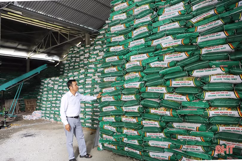 Hành trình từ người trồng dưa đến nông dân giỏi được vinh danh toàn quốc